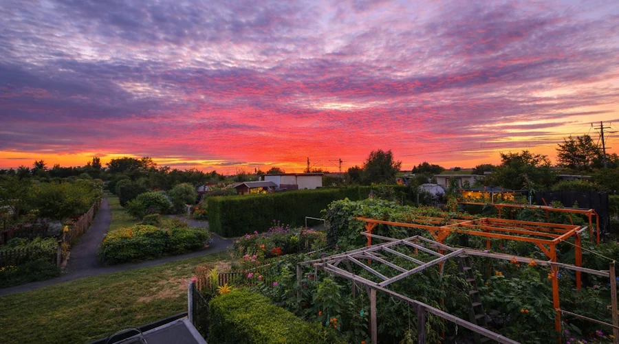 Gartenleben in der Kleingartenanlage Anton Vockert 1912 e.V. in Markranstädt